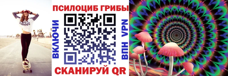 Галлюциногенные грибы GOLDEN TEACHER Купить закладки Дигора